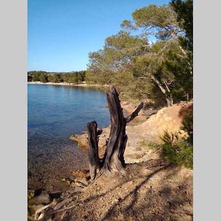 Face Mer Entre Plage Et Marina Bormes-les-Mimosas Kültér fotó