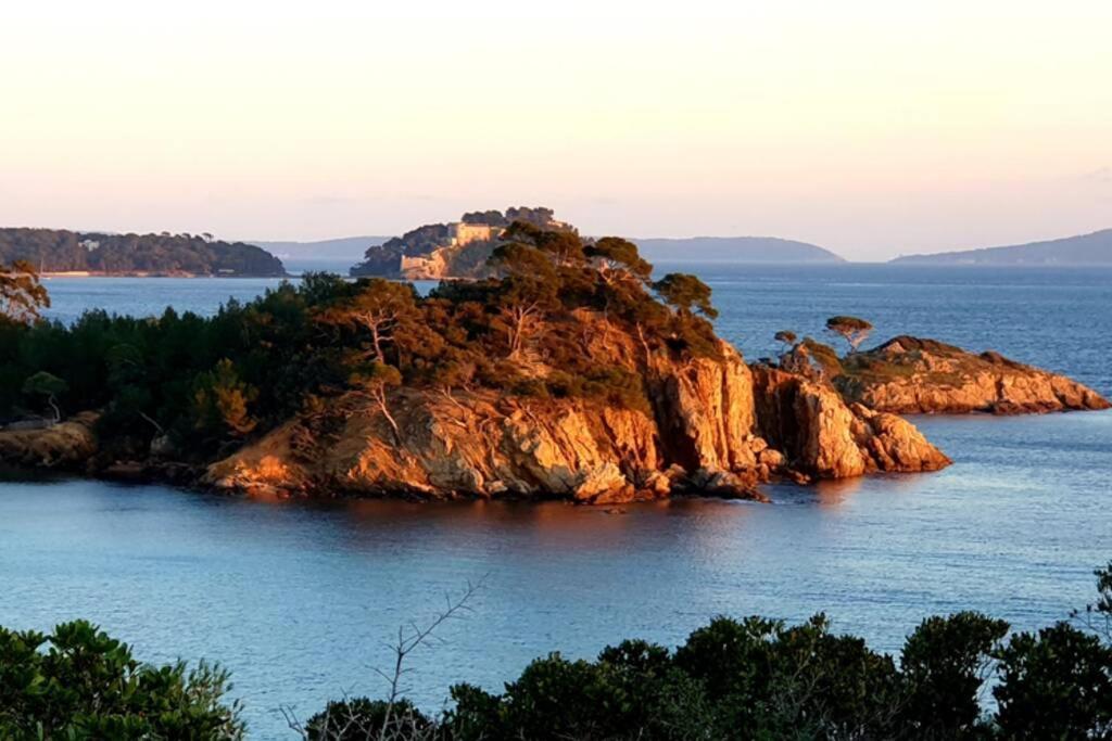 Face Mer Entre Plage Et Marina Bormes-les-Mimosas Kültér fotó