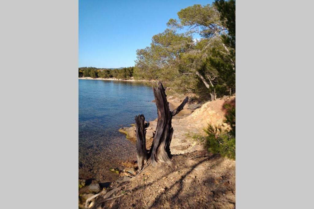 Face Mer Entre Plage Et Marina Bormes-les-Mimosas Kültér fotó