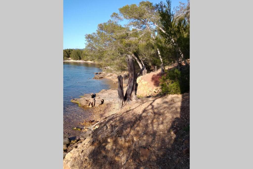 Face Mer Entre Plage Et Marina Bormes-les-Mimosas Kültér fotó